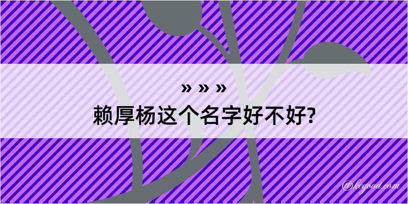 赖厚杨这个名字好不好?