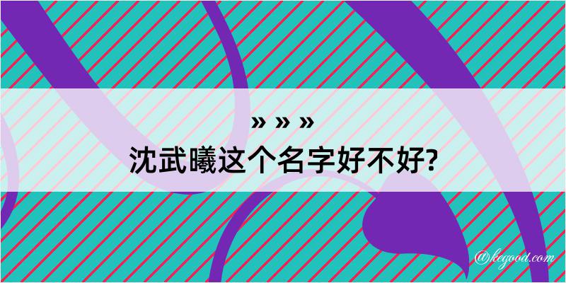 沈武曦这个名字好不好?