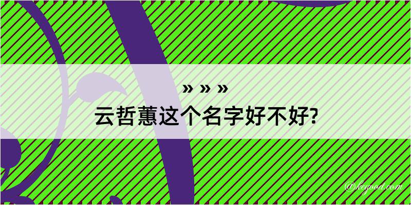 云哲蕙这个名字好不好?