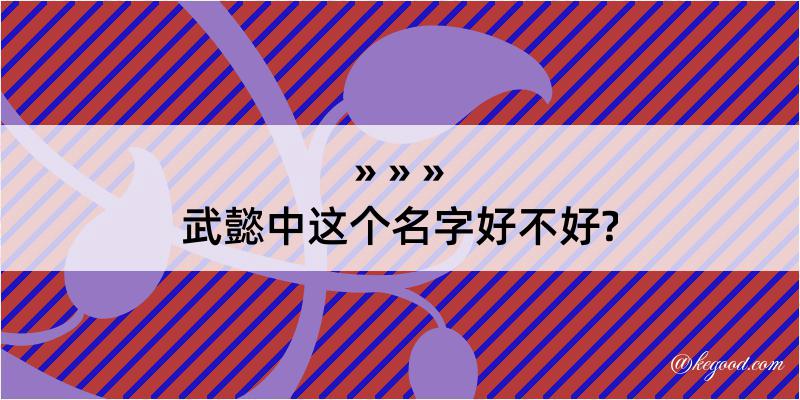 武懿中这个名字好不好?