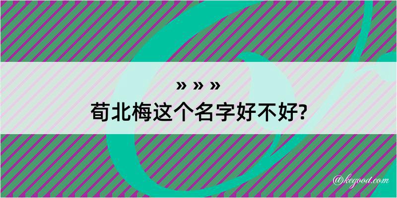 荀北梅这个名字好不好?