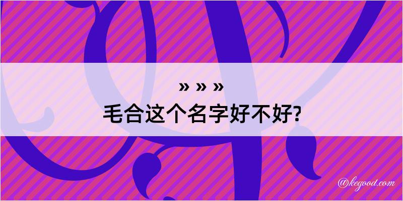 毛合这个名字好不好?