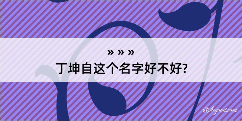 丁坤自这个名字好不好?