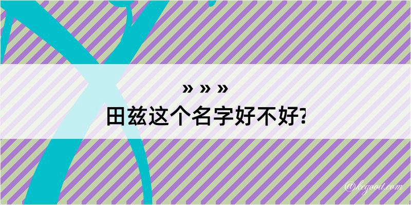 田兹这个名字好不好?