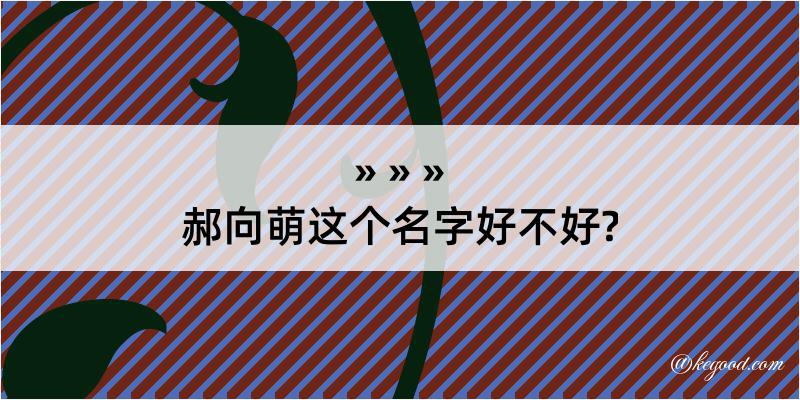 郝向萌这个名字好不好?