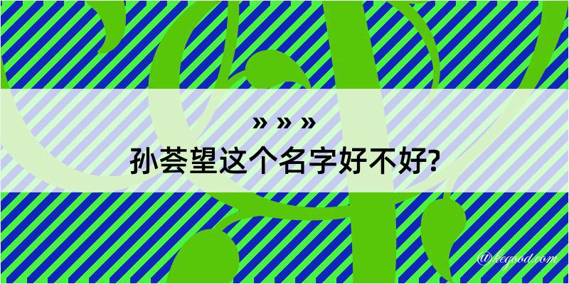 孙荟望这个名字好不好?