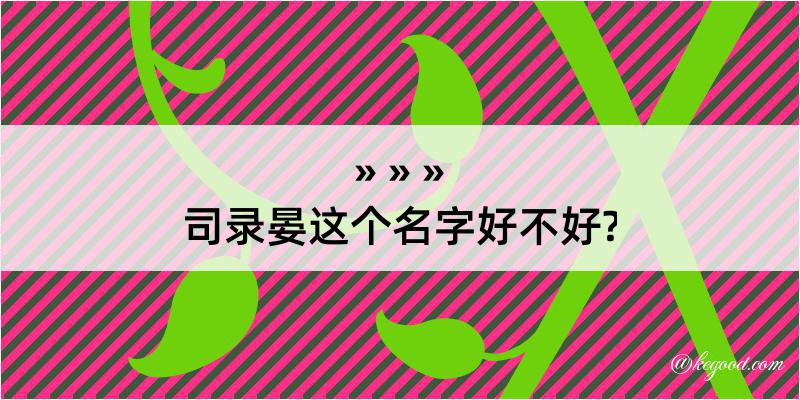 司录晏这个名字好不好?