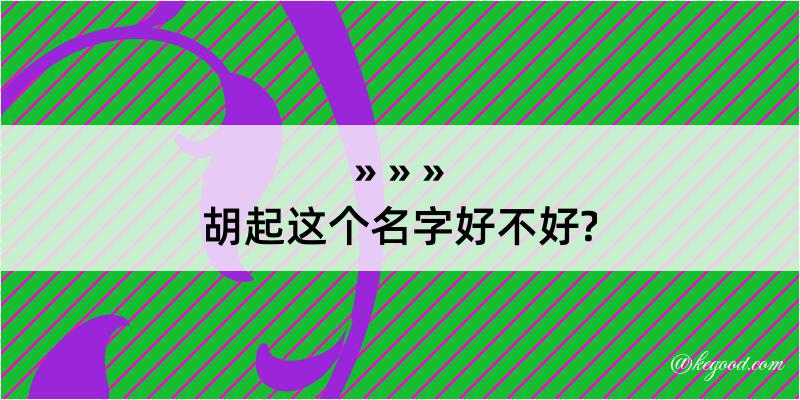 胡起这个名字好不好?