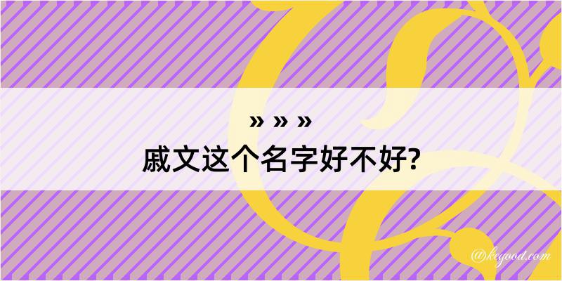 戚文这个名字好不好?