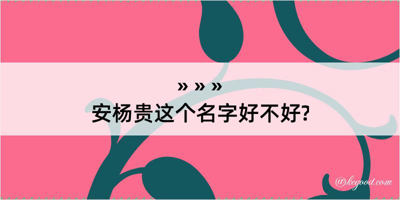 安杨贵这个名字好不好?