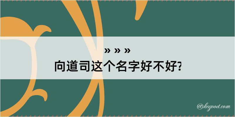 向道司这个名字好不好?