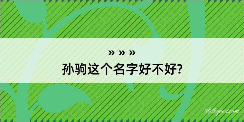 孙驹这个名字好不好?