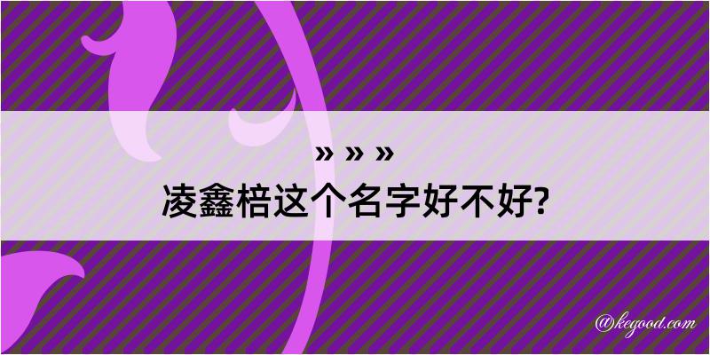 凌鑫棓这个名字好不好?