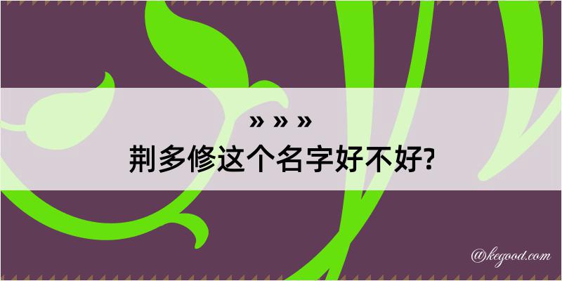 荆多修这个名字好不好?