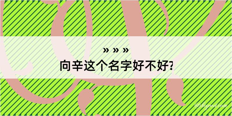 向辛这个名字好不好?