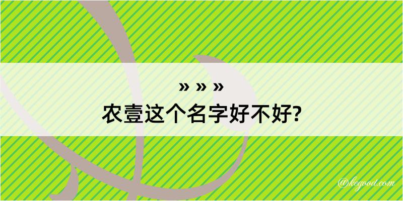 农壹这个名字好不好?