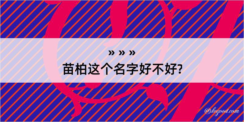 苗柏这个名字好不好?