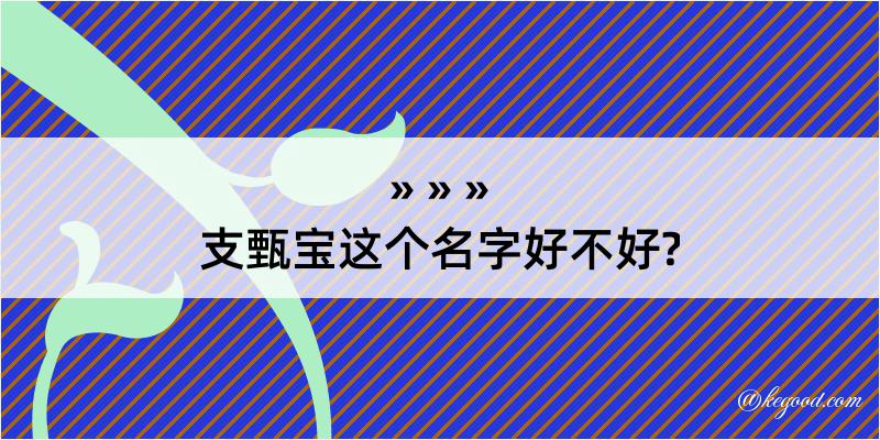 支甄宝这个名字好不好?