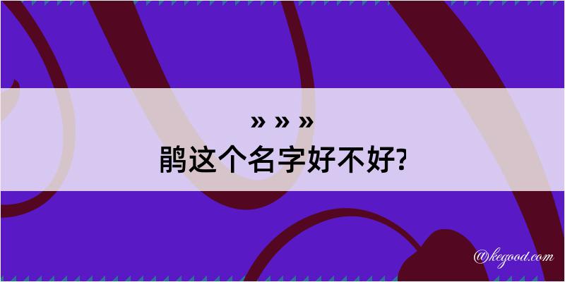 鹃这个名字好不好?