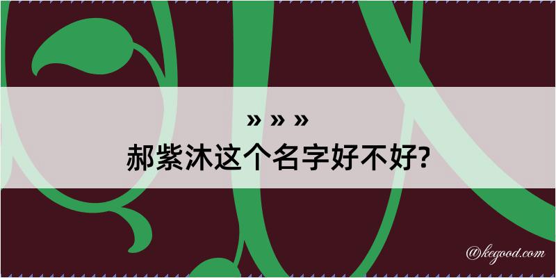 郝紫沐这个名字好不好?