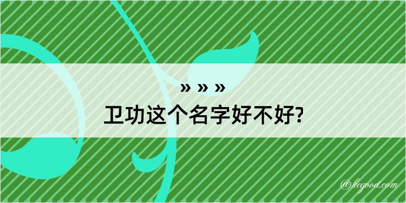 卫功这个名字好不好?