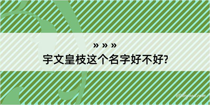 宇文皇枝这个名字好不好?