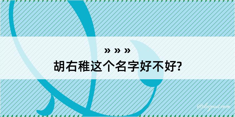 胡右稚这个名字好不好?