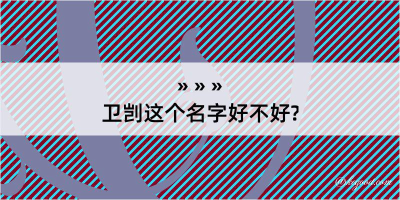 卫剀这个名字好不好?