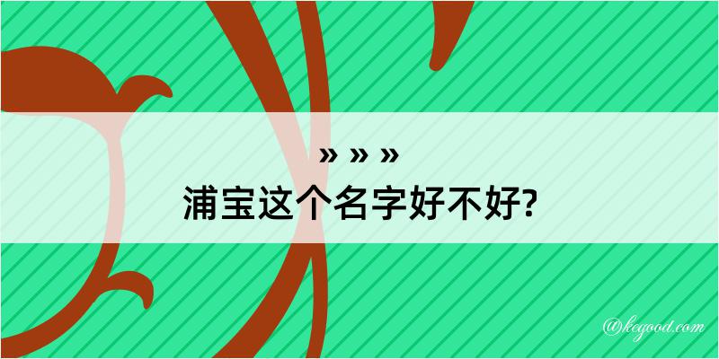 浦宝这个名字好不好?