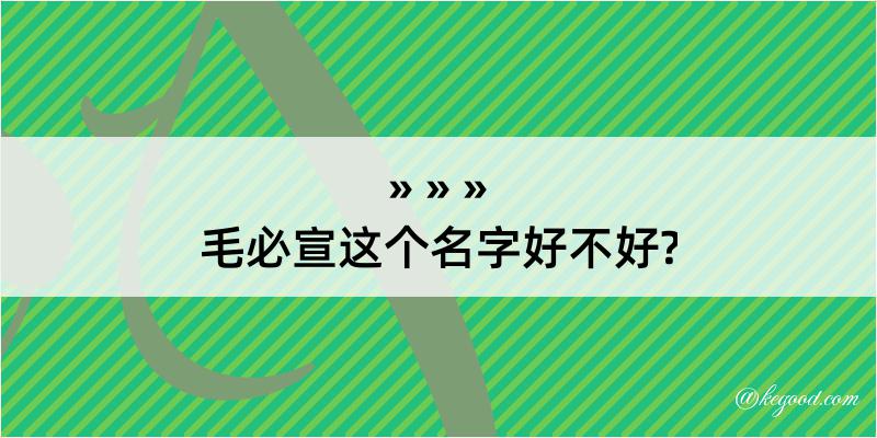 毛必宣这个名字好不好?