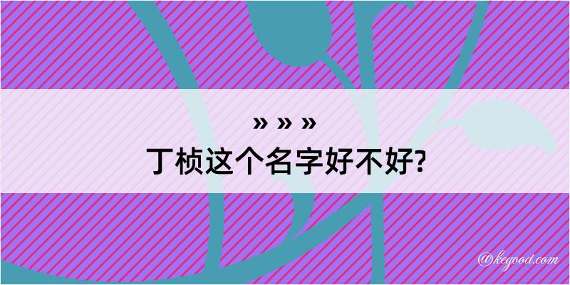 丁桢这个名字好不好?