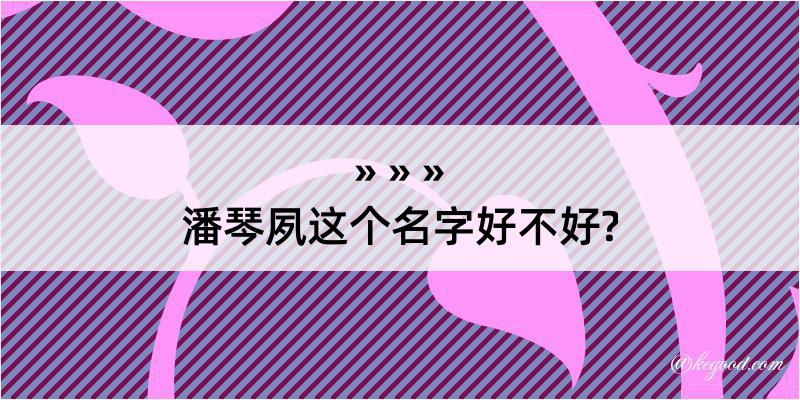 潘琴夙这个名字好不好?