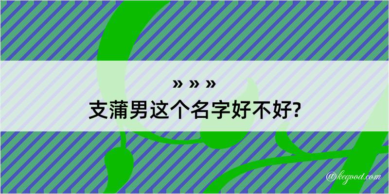 支蒲男这个名字好不好?