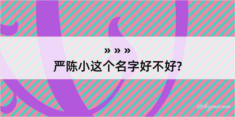 严陈小这个名字好不好?