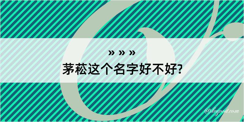 茅菘这个名字好不好?