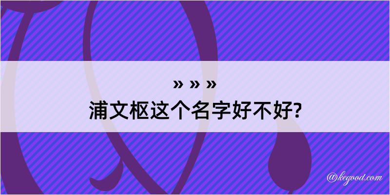 浦文枢这个名字好不好?