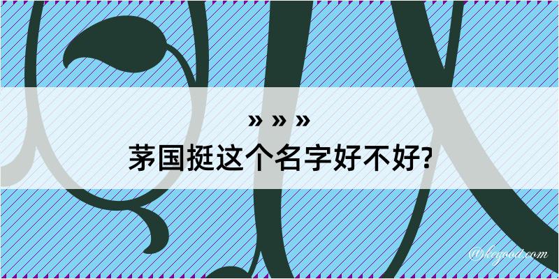 茅国挺这个名字好不好?