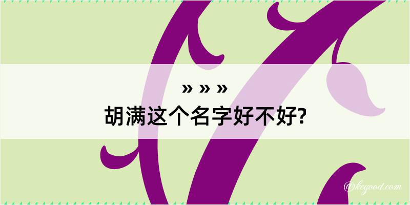 胡满这个名字好不好?