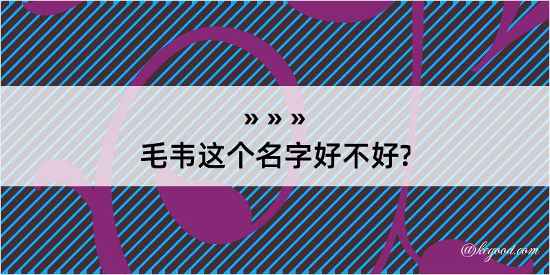 毛韦这个名字好不好?