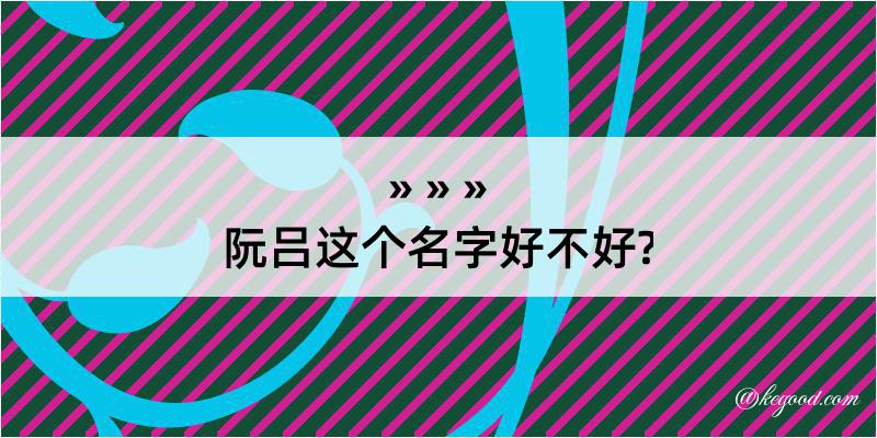 阮吕这个名字好不好?