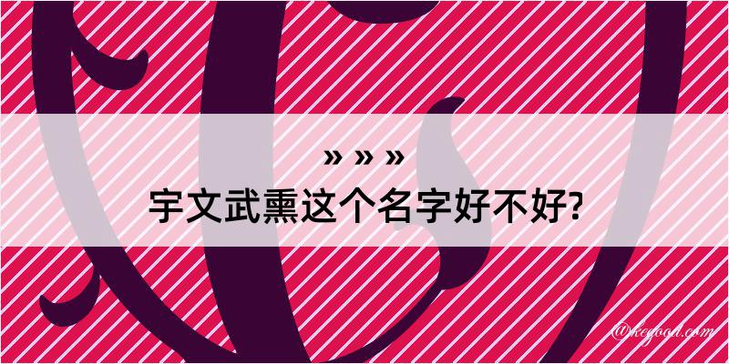 宇文武熏这个名字好不好?