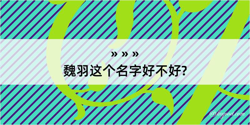 魏羽这个名字好不好?