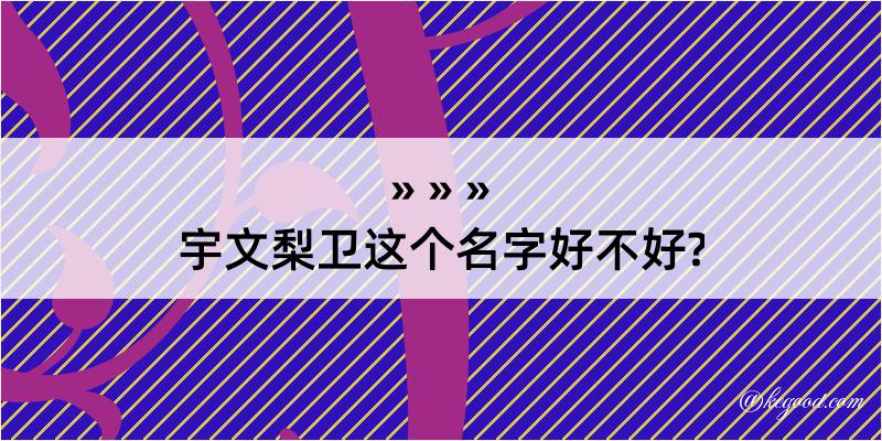 宇文梨卫这个名字好不好?