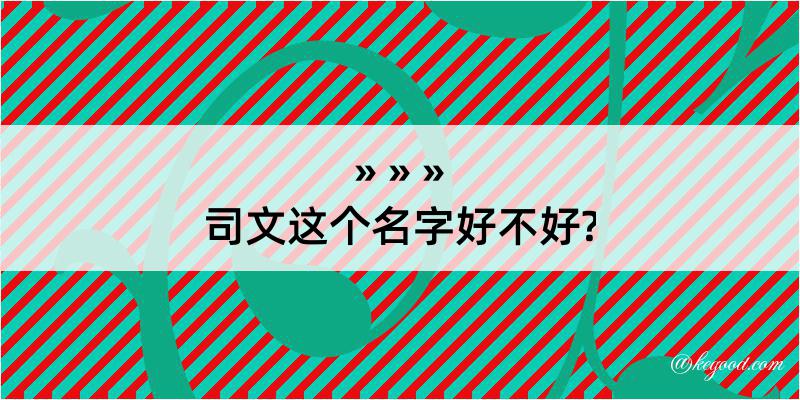 司文这个名字好不好?