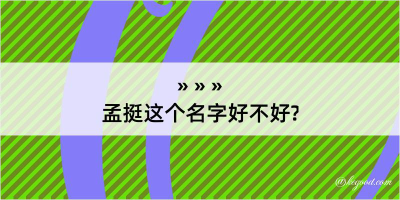 孟挺这个名字好不好?