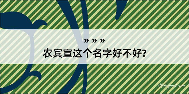 农宾宣这个名字好不好?