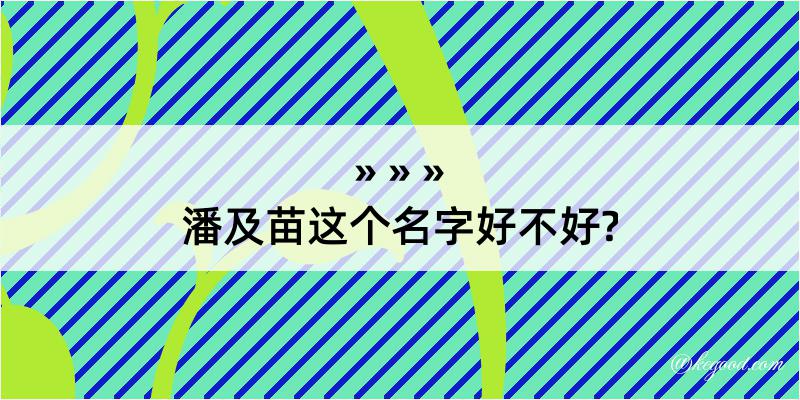 潘及苗这个名字好不好?