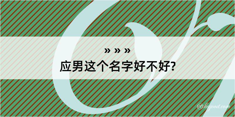 应男这个名字好不好?