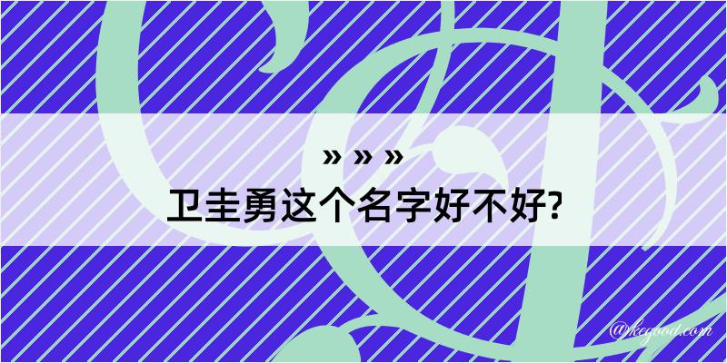 卫圭勇这个名字好不好?