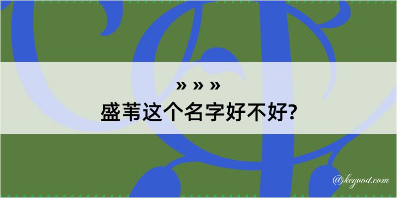 盛苇这个名字好不好?